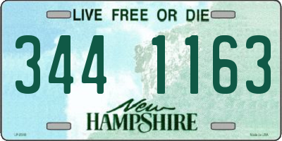 NH license plate 3441163