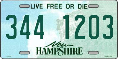 NH license plate 3441203
