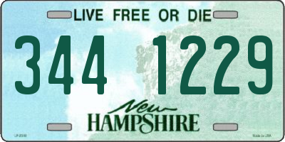 NH license plate 3441229
