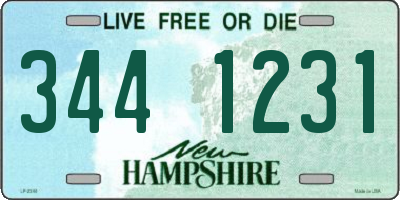 NH license plate 3441231