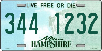 NH license plate 3441232