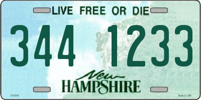 NH license plate 3441233