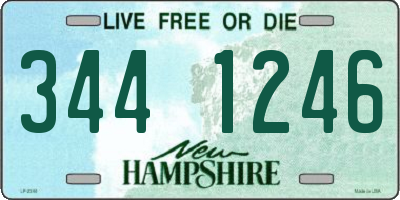 NH license plate 3441246
