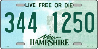 NH license plate 3441250