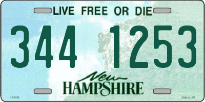 NH license plate 3441253