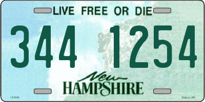 NH license plate 3441254