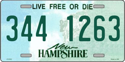 NH license plate 3441263