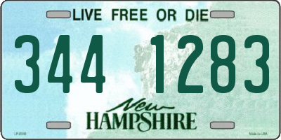NH license plate 3441283