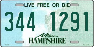 NH license plate 3441291
