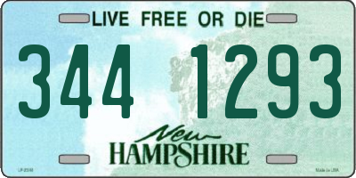 NH license plate 3441293