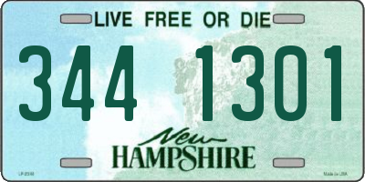 NH license plate 3441301