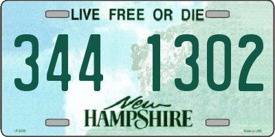 NH license plate 3441302