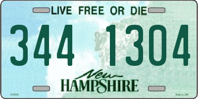 NH license plate 3441304