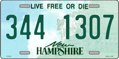 NH license plate 3441307
