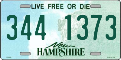 NH license plate 3441373