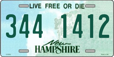 NH license plate 3441412