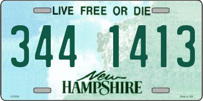NH license plate 3441413