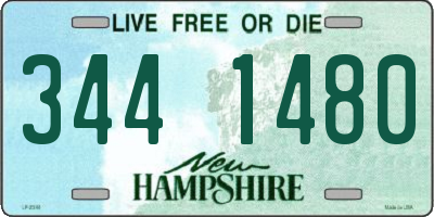 NH license plate 3441480