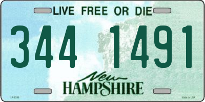 NH license plate 3441491