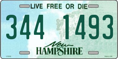 NH license plate 3441493
