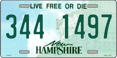 NH license plate 3441497