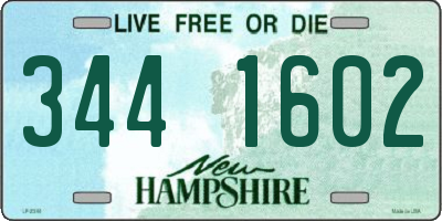 NH license plate 3441602