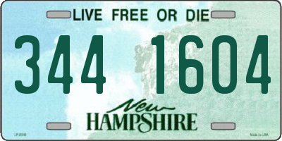 NH license plate 3441604