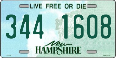 NH license plate 3441608