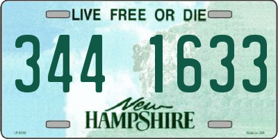 NH license plate 3441633