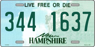 NH license plate 3441637