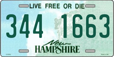 NH license plate 3441663