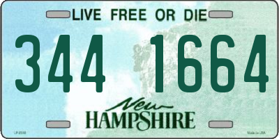 NH license plate 3441664