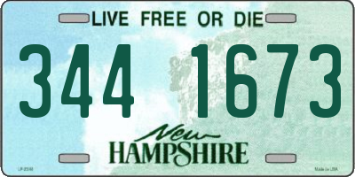 NH license plate 3441673