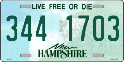 NH license plate 3441703