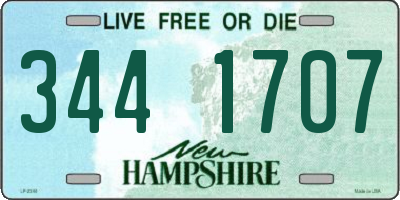 NH license plate 3441707