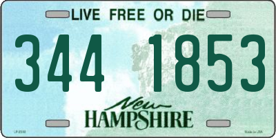 NH license plate 3441853