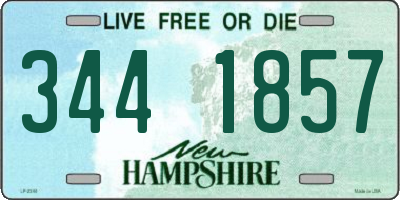 NH license plate 3441857