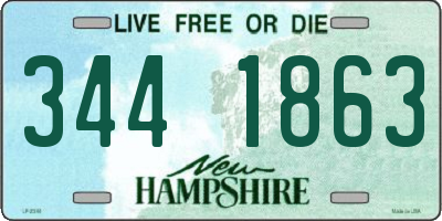 NH license plate 3441863