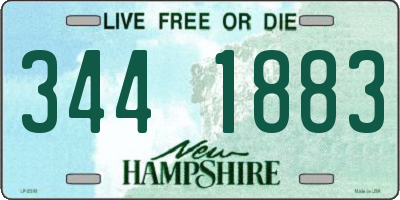 NH license plate 3441883