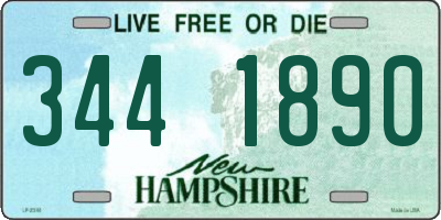 NH license plate 3441890