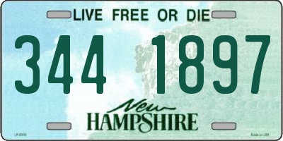 NH license plate 3441897