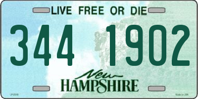 NH license plate 3441902