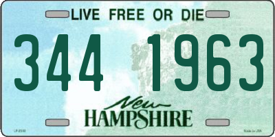 NH license plate 3441963