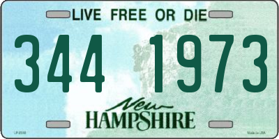 NH license plate 3441973
