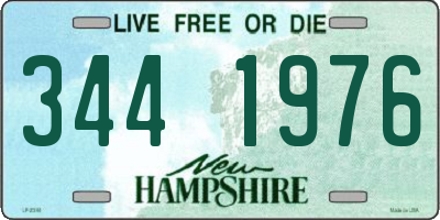 NH license plate 3441976
