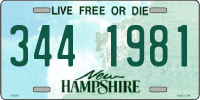 NH license plate 3441981