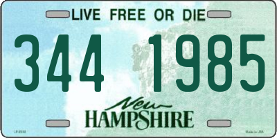 NH license plate 3441985
