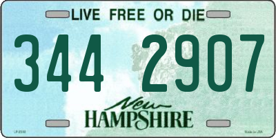 NH license plate 3442907