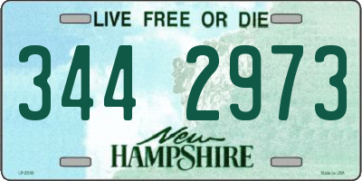 NH license plate 3442973