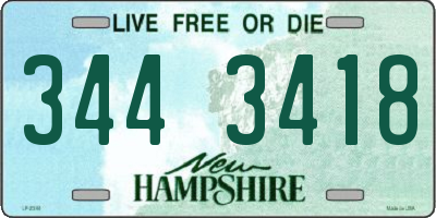 NH license plate 3443418
